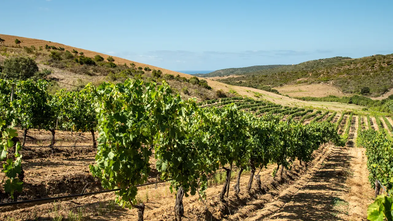 Clos Colonna-020©EPerrinweb