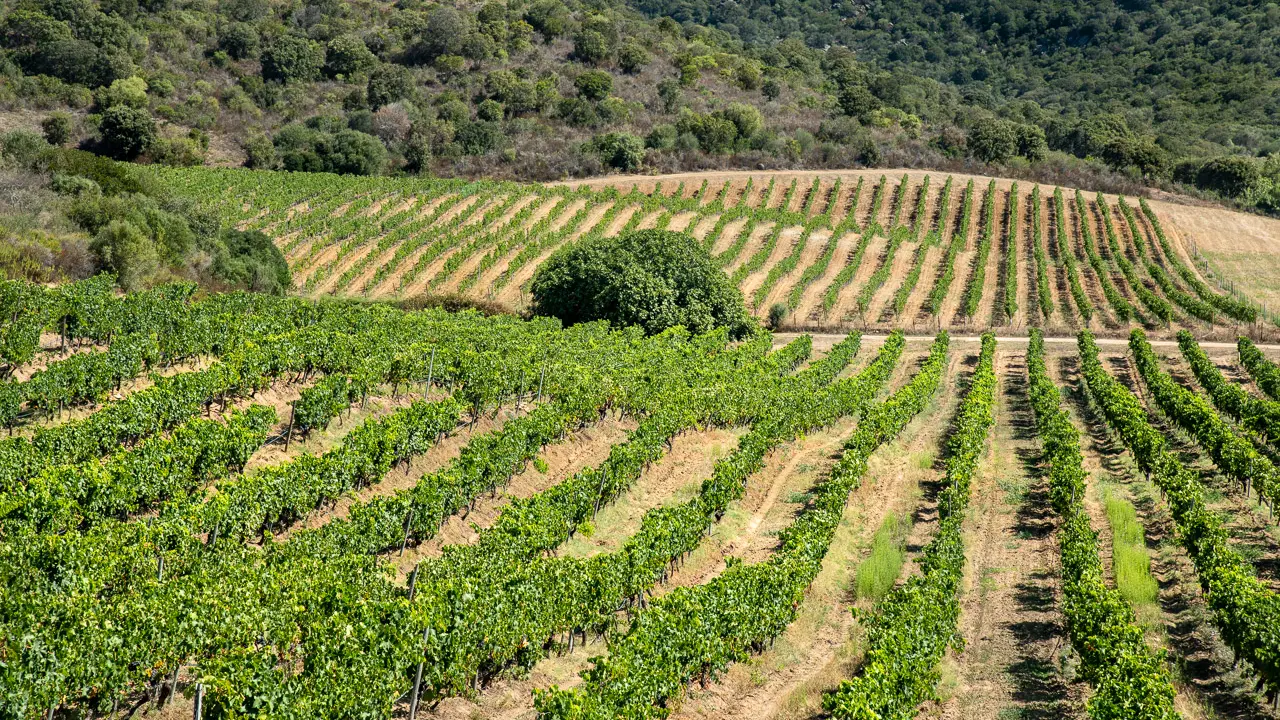 Clos Colonna-048©EPerrinweb