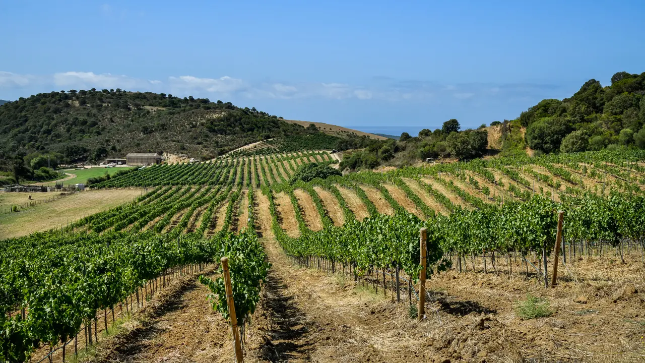 Clos Colonna-105©EPerrinweb
