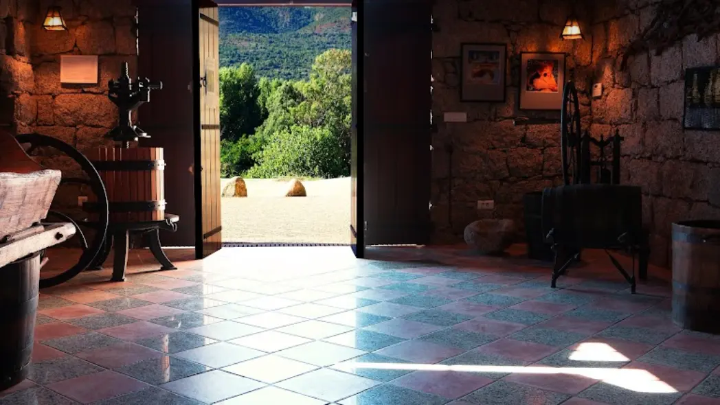 DOMAINE FIUMICICOLI