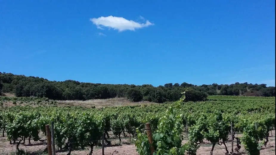 DOMAINE FIUMICICOLI
