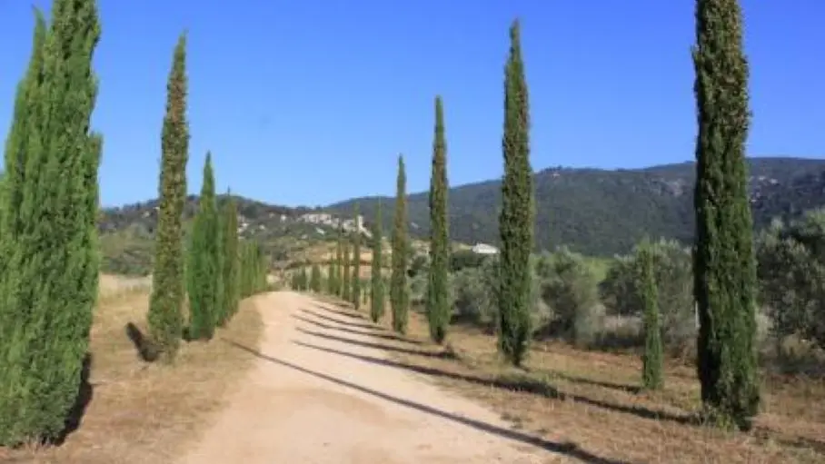 CASTELLU DI BARICCI