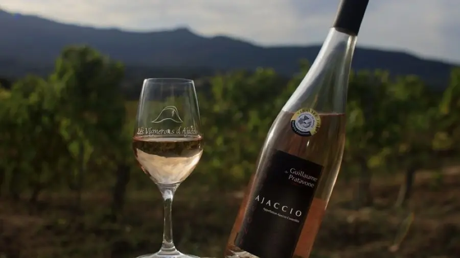DOMAINE-DE-PRATAVONE-1-3