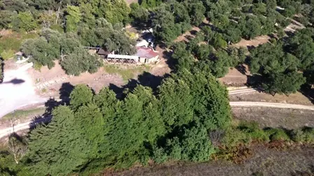 DOMAINE KIESALE ABBATUCCI CASALABRIVA CORSE DU SUD_1