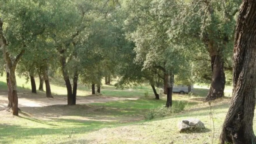 DOMAINE KIESALE ABBATUCCI