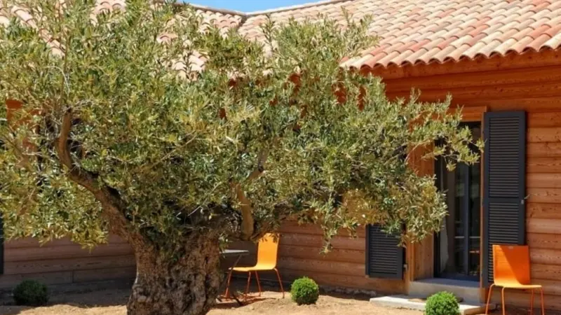 DOMAINE PERO LONGO