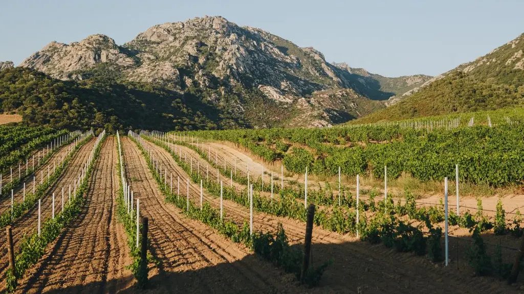DOMAINE-PEROLONGO