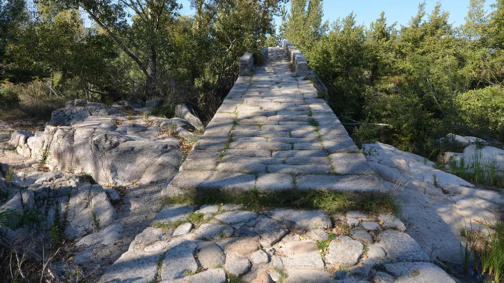 PONT GENOIS SPINACAVADDU