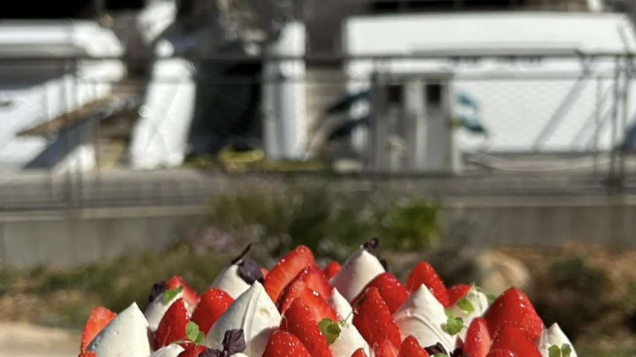 Fraisier
