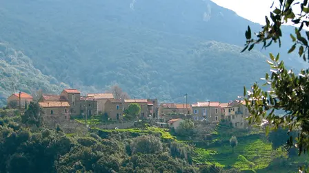 Granace Corse du sud_1
