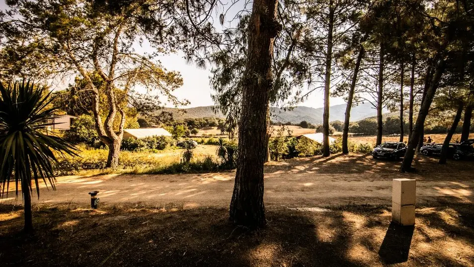 CAMPING OLVA