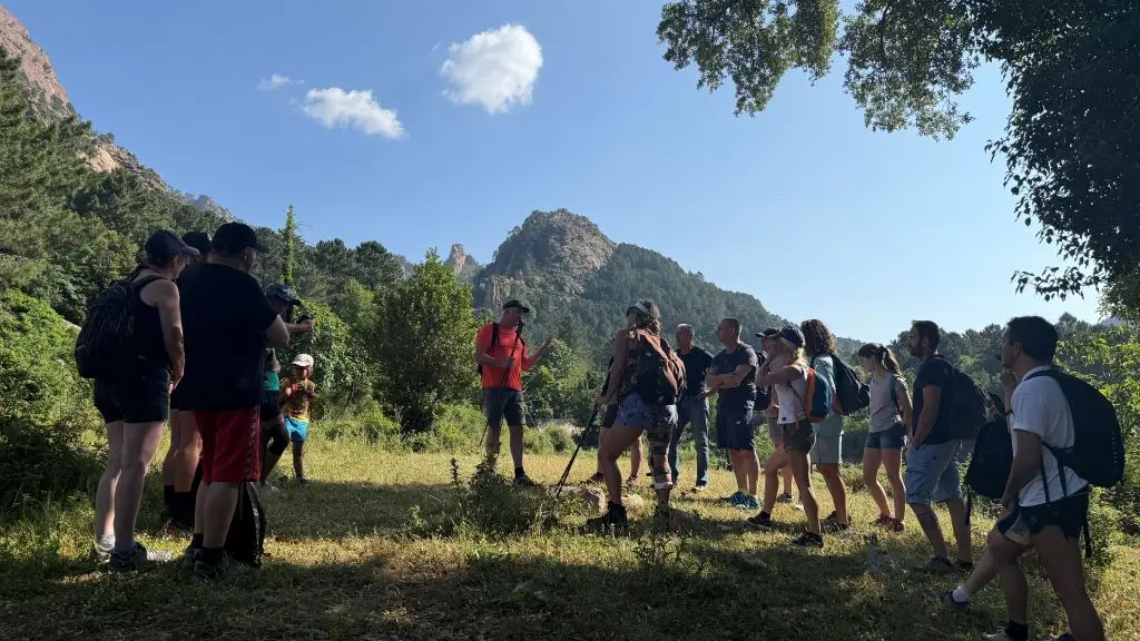 LES SORTIES DE DANIEL