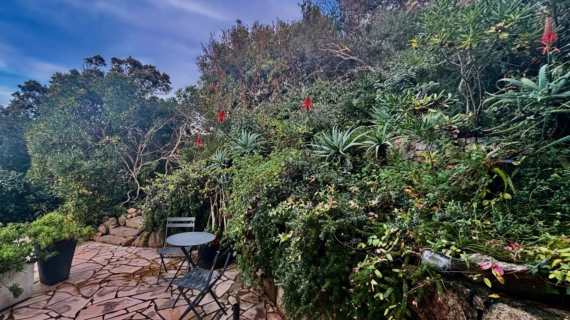 terrasse du studio l'osso