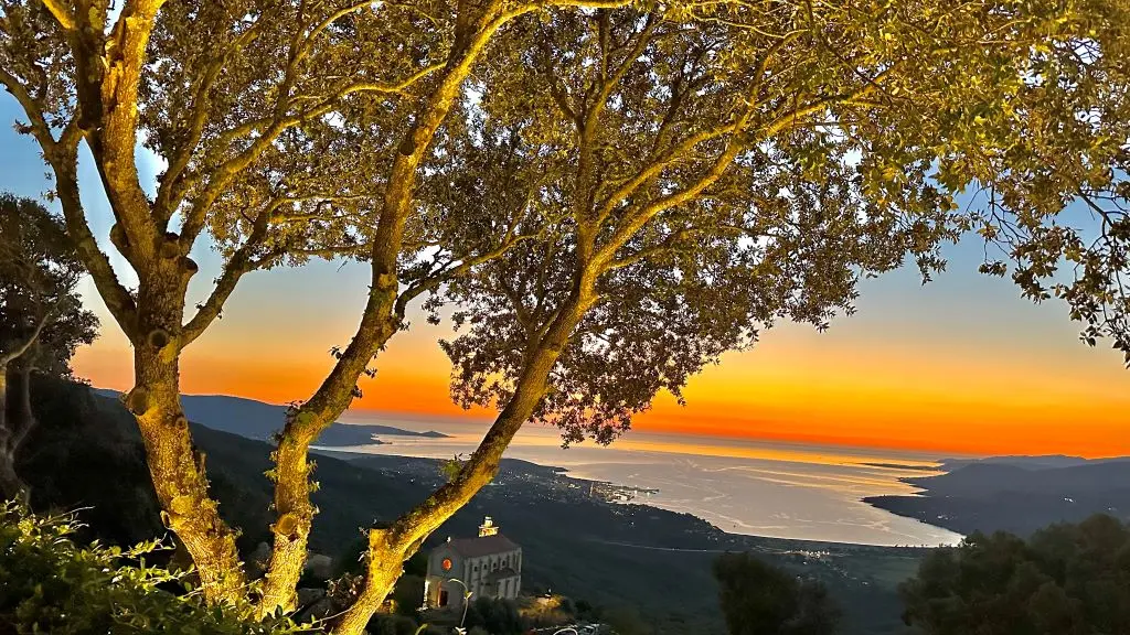 DOMAINE A VIGNA- VILLA A PUNTA