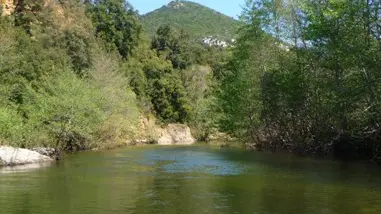 CAMPING LA RIVIERE