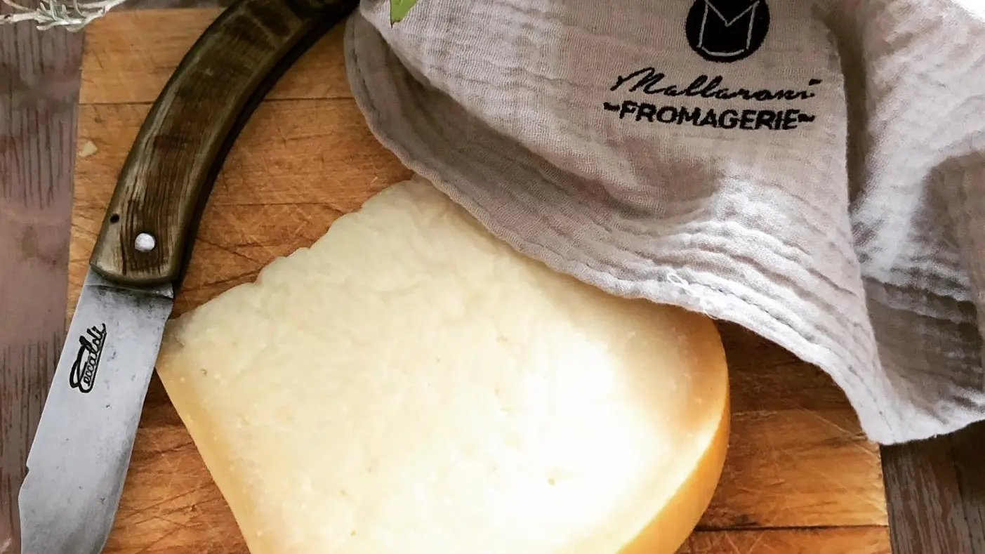 TOMME SARTENAISE MALLARONI