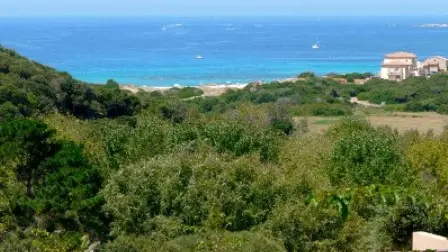 MARE E MACCHIA