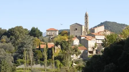 Moca croce Corse du sud_1