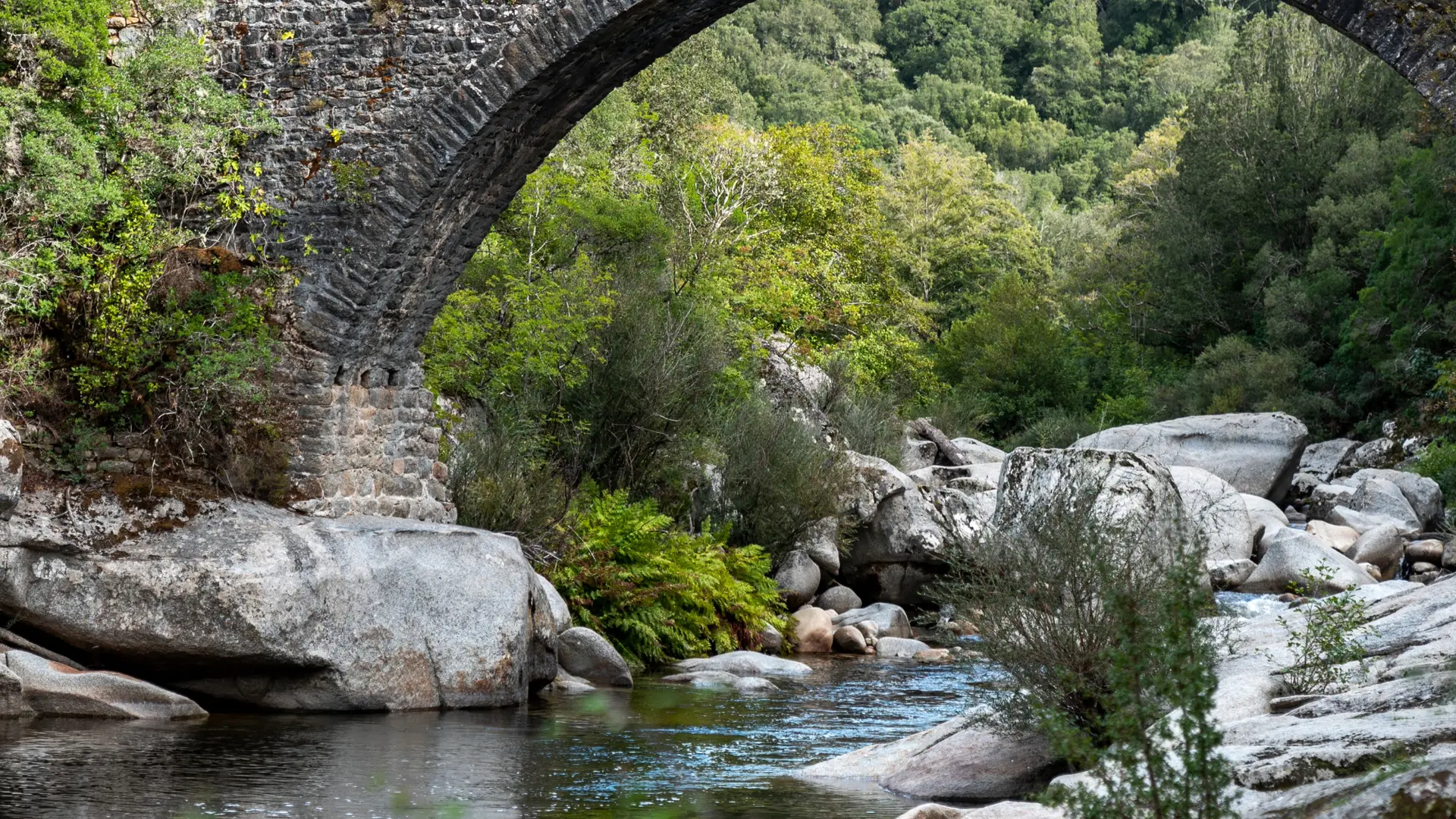 Pont génois d'Abra sur le Taravo