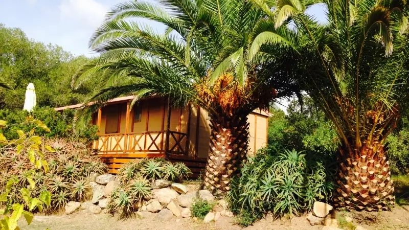 RAS L'BOL