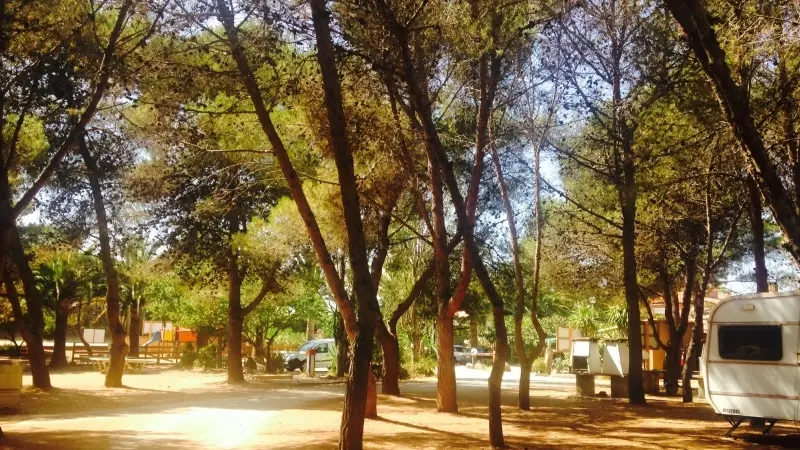 RAS L'BOL
