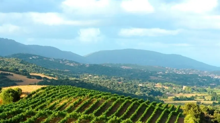 DOMAINE SANT ARMETTU