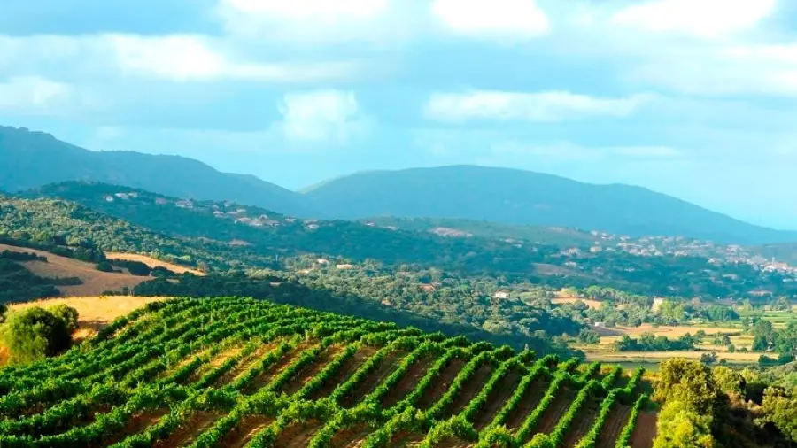 DOMAINE SANT ARMETTU