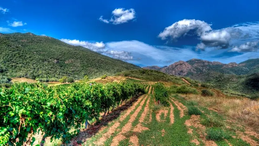 DOMAINE SANT ARMETTU