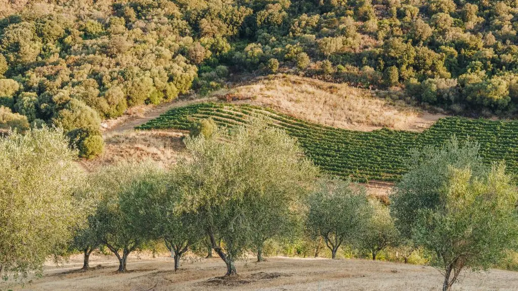 SANTARMETTU-AOUT22-71