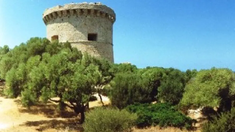 TOUR DE CAMPOMORO
