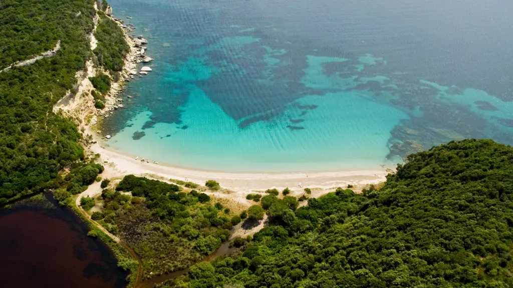 PLAGE DE CANETTO