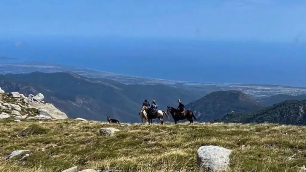 I CHJASSI DI L'ALTAGNA