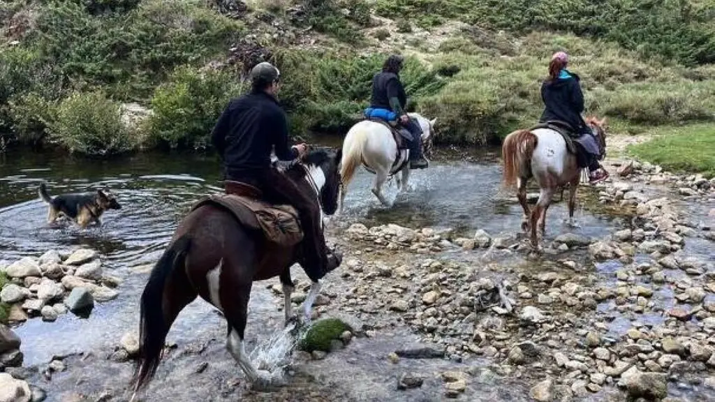 I CHJASSI DI L'ALTAGNA