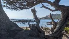 I CHJASSI DI L'ALTAGNA