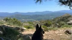 I CHJASSI DI L'ALTAGNA