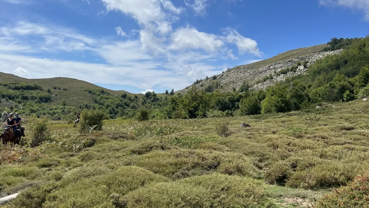 I CHJASSI DI L'ALTAGNA