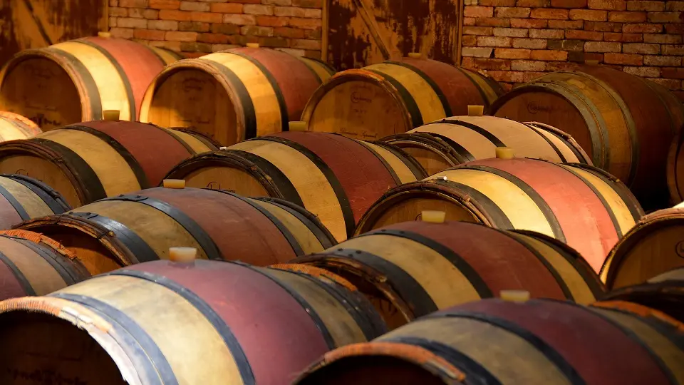 DOMAINE SAPARALE