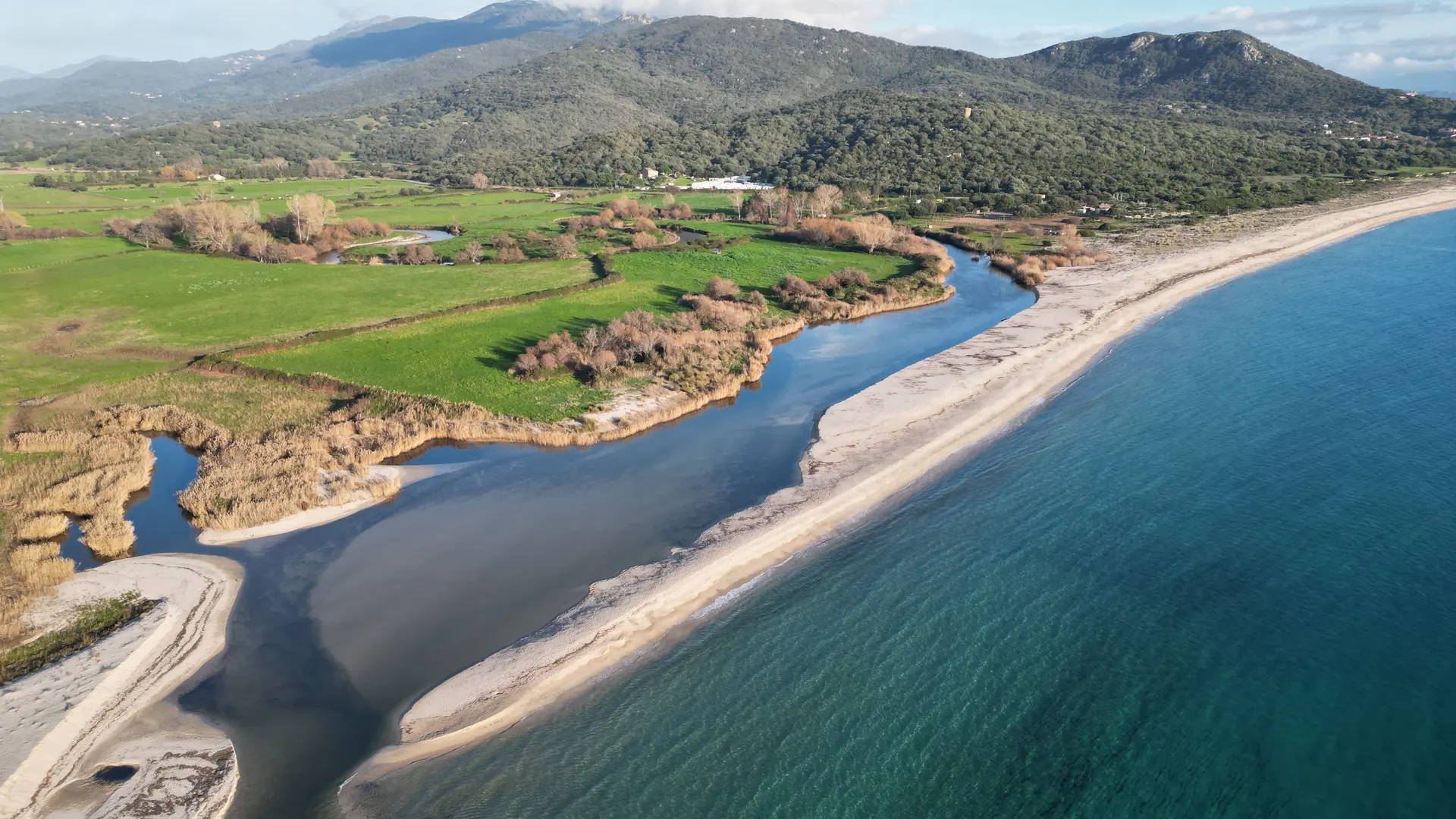 dji_fly_20230103_154616_79_1677617517374_photo