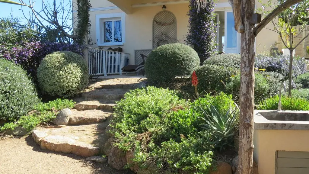LES ALOES