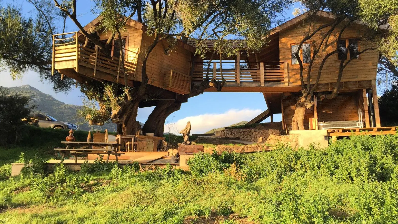 maison dans les arbres