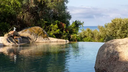 piscine 1