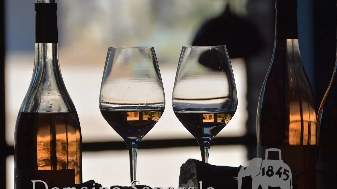 DOMAINE SAPARALE