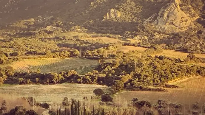 DOMAINE SAN MICHELI