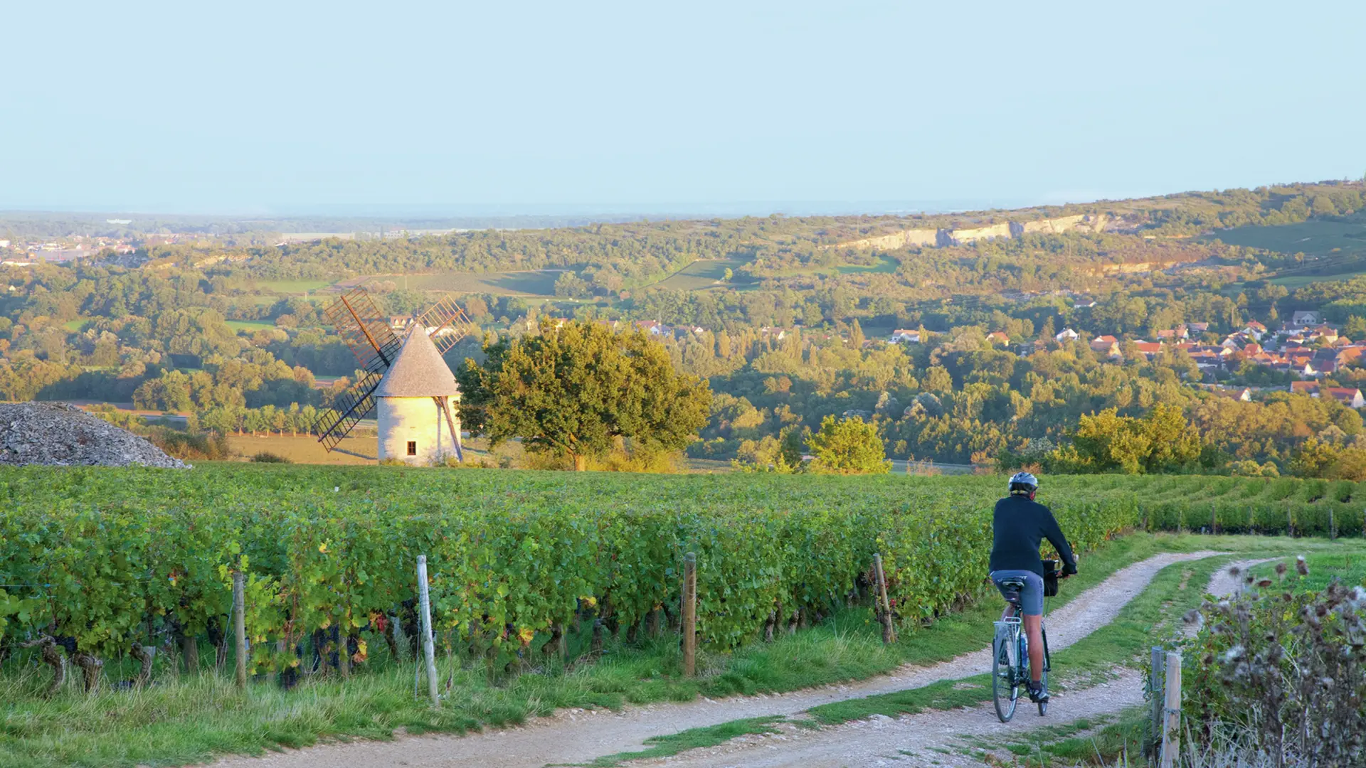 Côte de Beaune