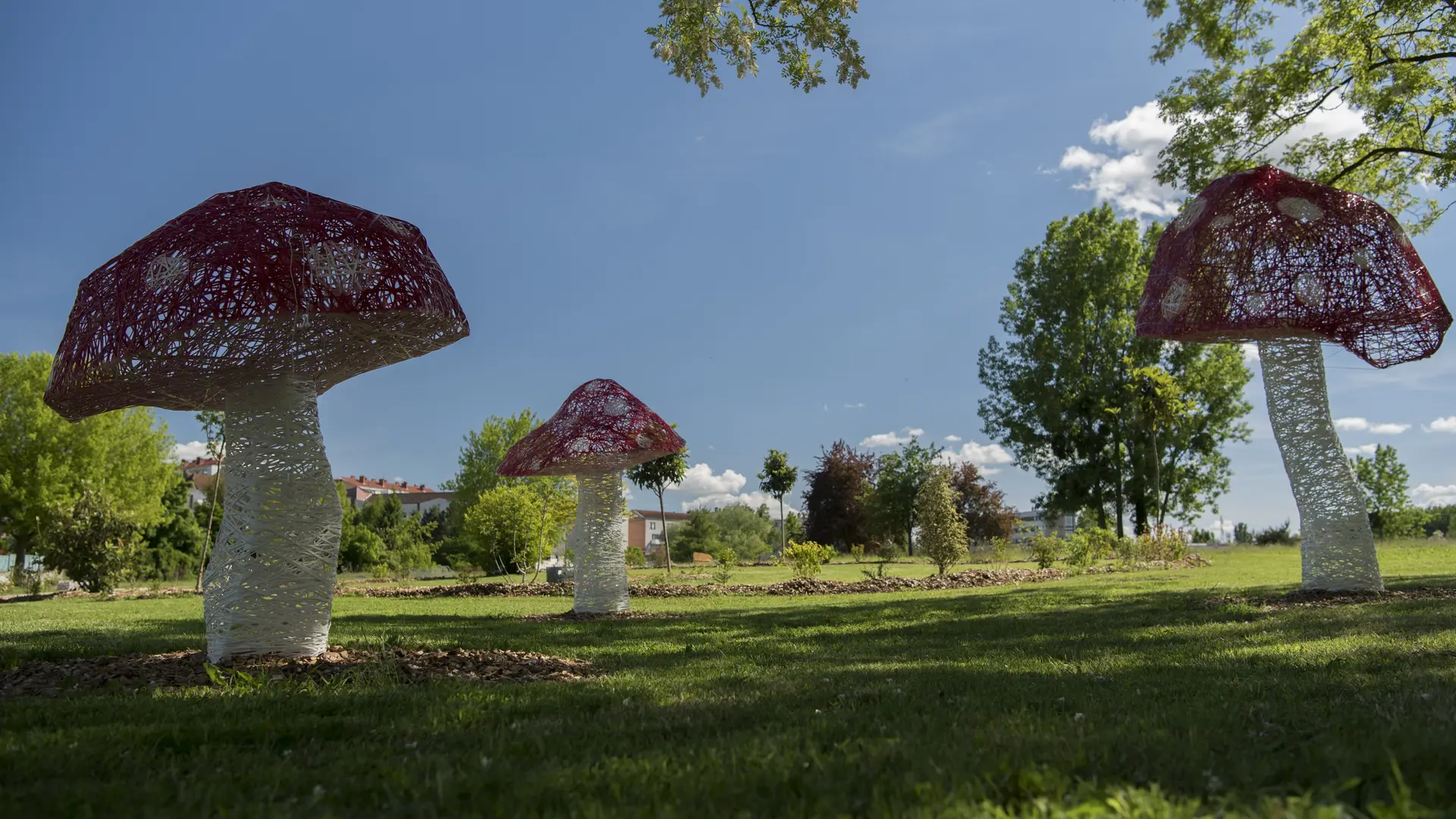 Prenez le frais à l'ombre des champignons géants