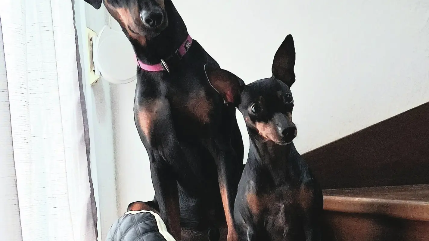 Paco&Vivi
