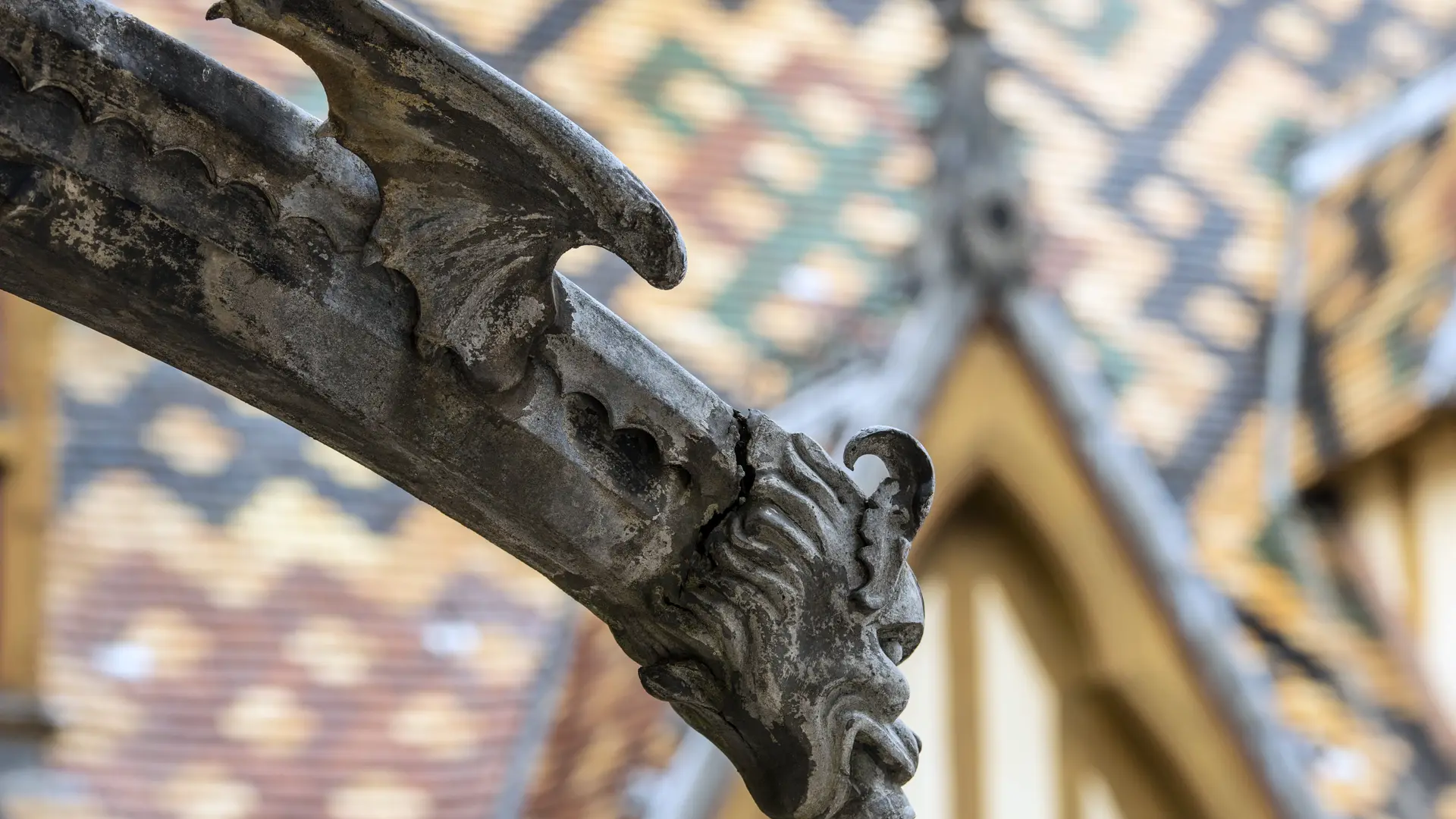 Détail toit Hospices de Beaune