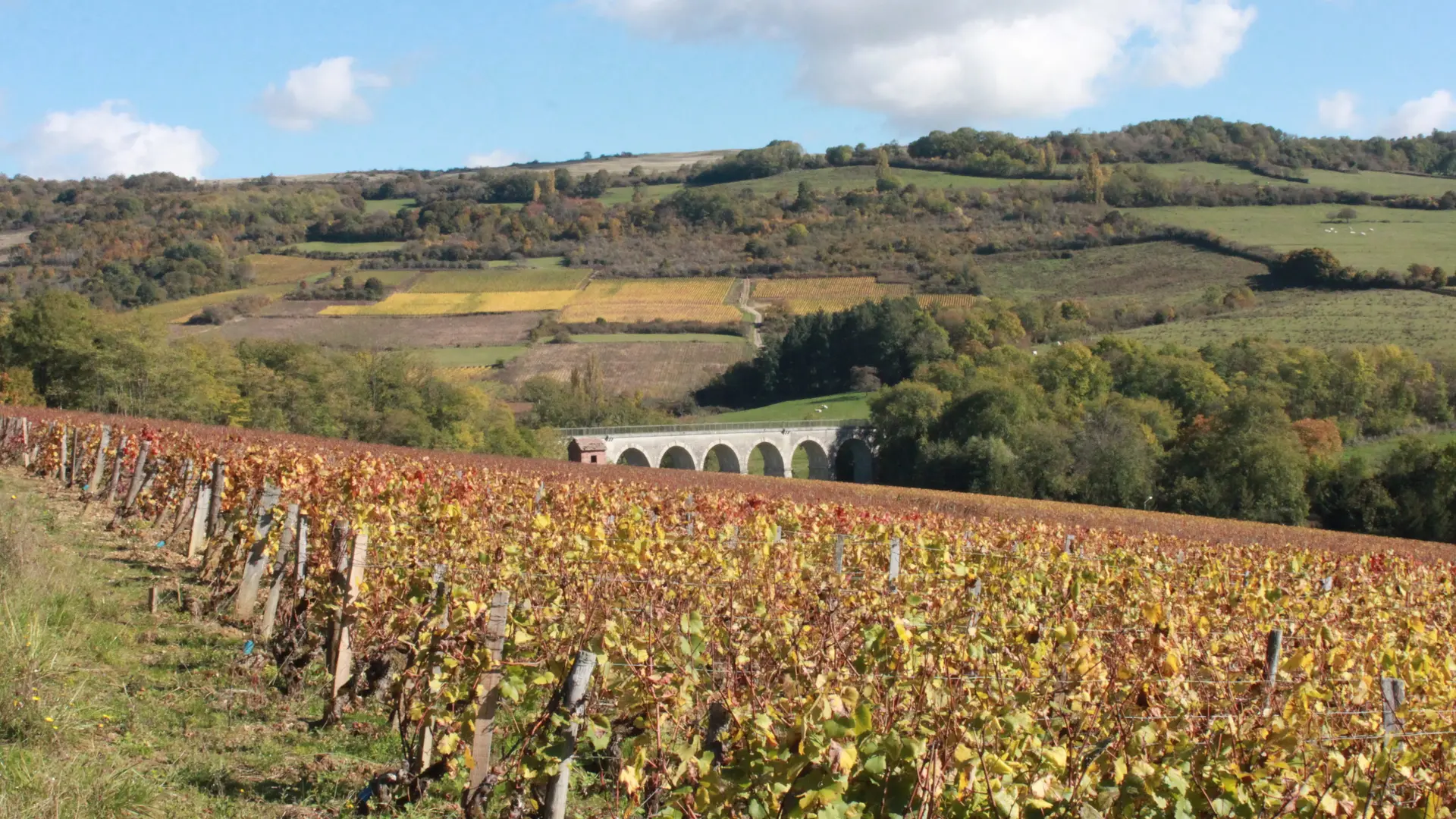 Vignes Bergeret