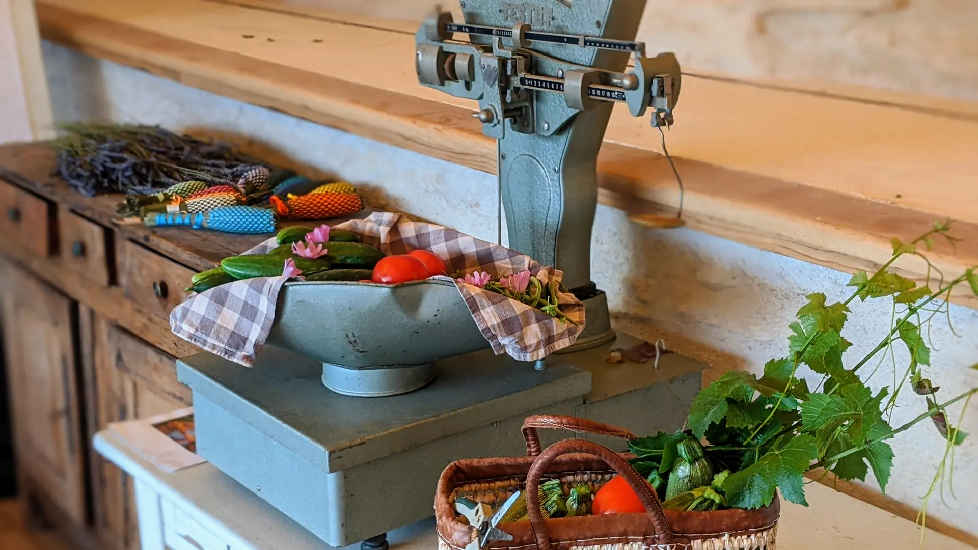 Que de tomates, concombres et courgettes dans le potager bio!