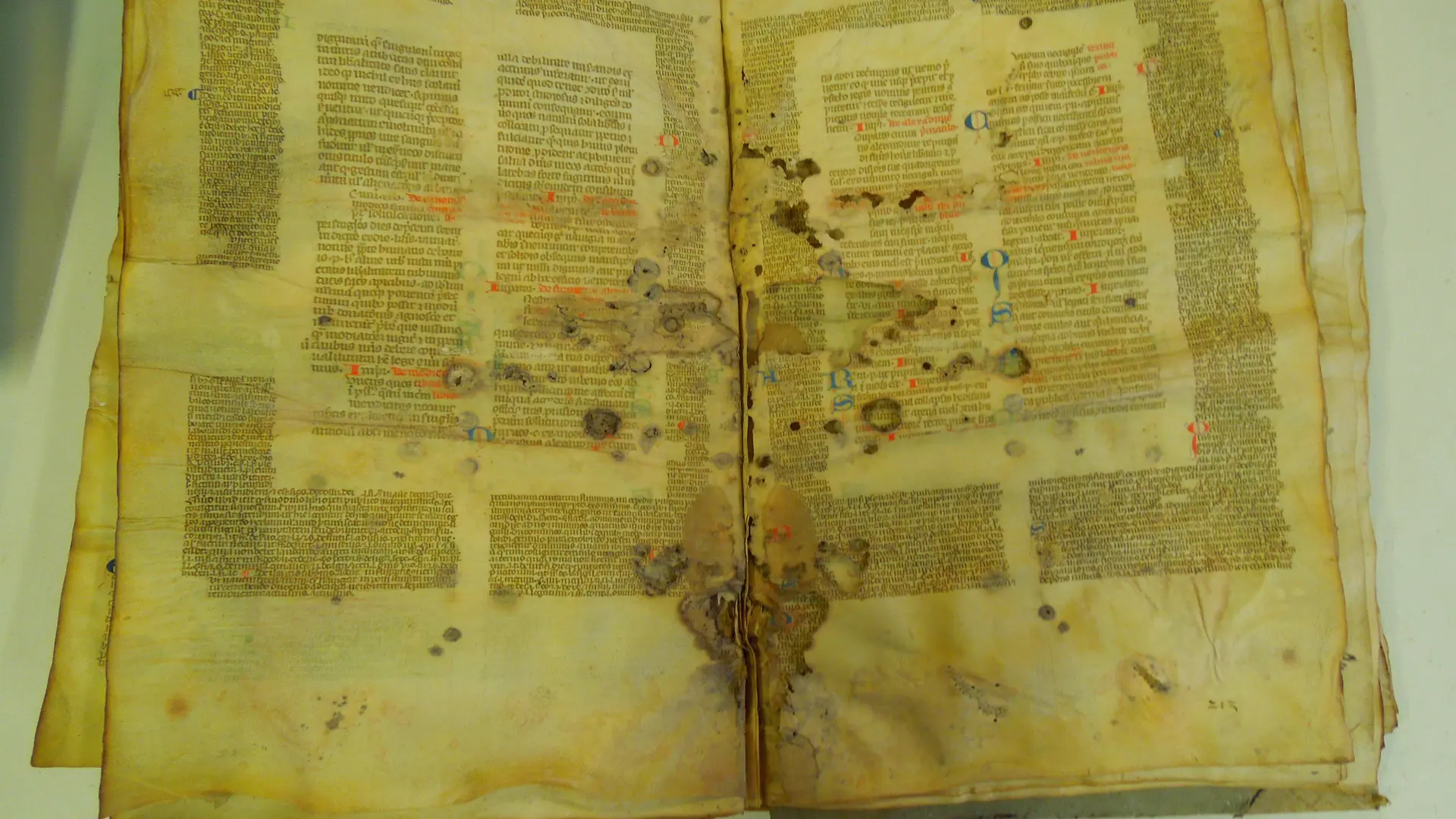 003 présentation cours